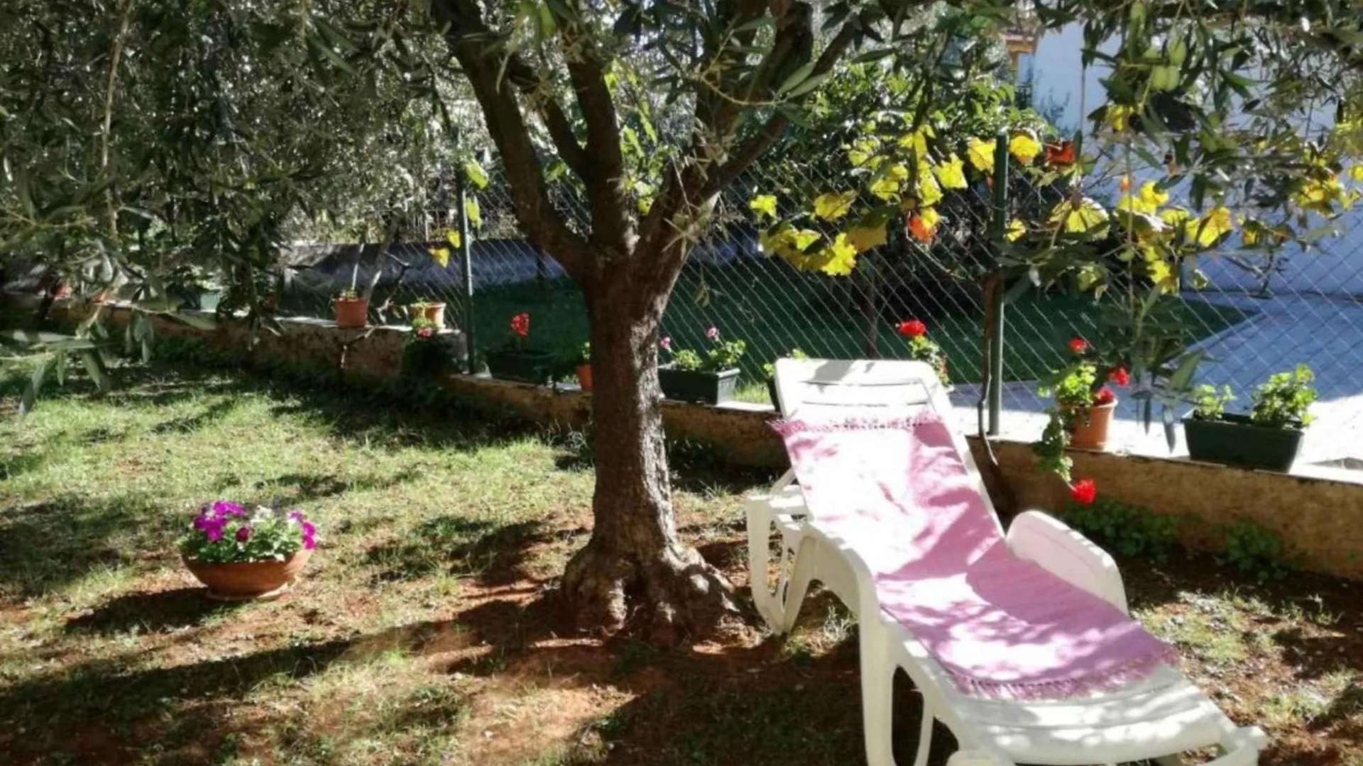 Apartments In Porec - Istrien 47127
